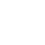 pdf icon